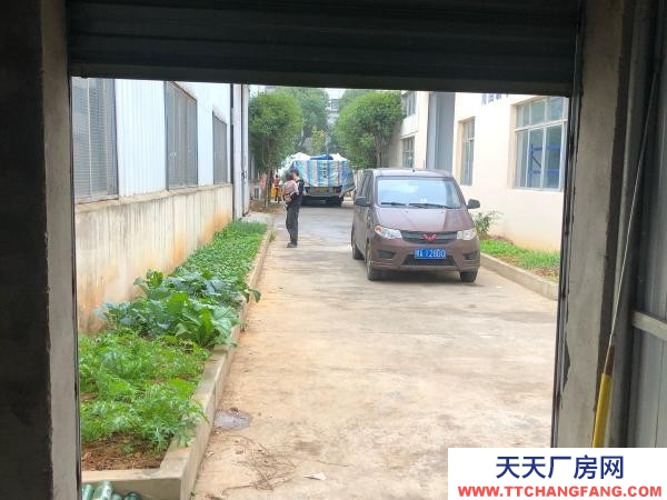 (出租)南昌新建區 在雷家路上 很安靜 環境也不錯