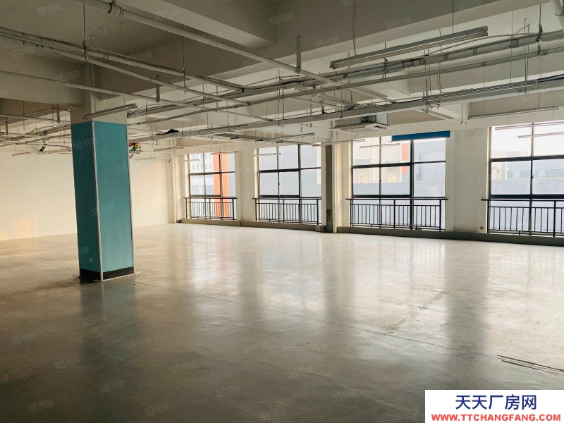 (出租) 合肥包河政府旁科技園區2245平適合電商直播展廳等企業