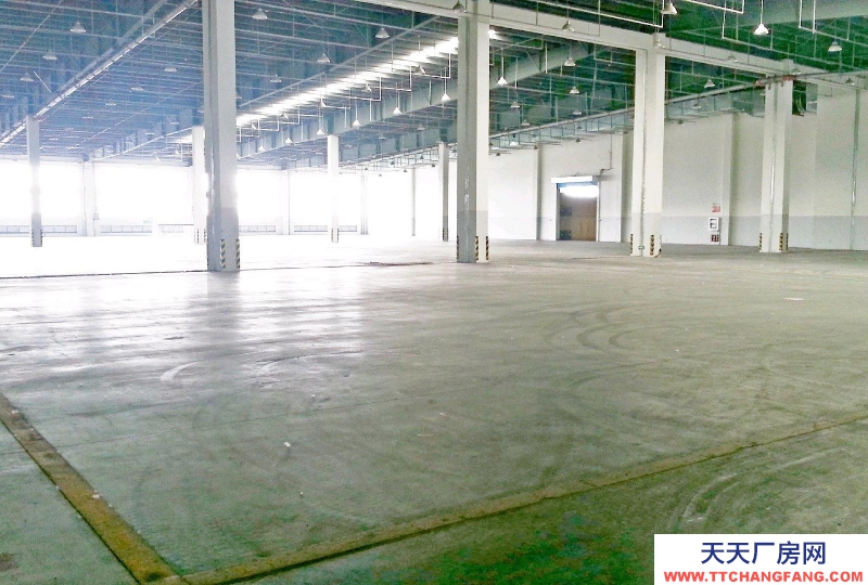 (出租) 合肥包河4萬平高標準倉庫可改造可分租