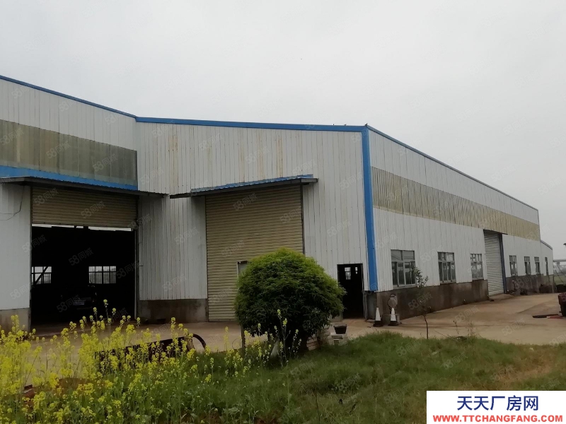 (出租)南昌縣倉庫向塘320國道旁獨(dú)院鋼構(gòu)廠房及空地出租 可分租