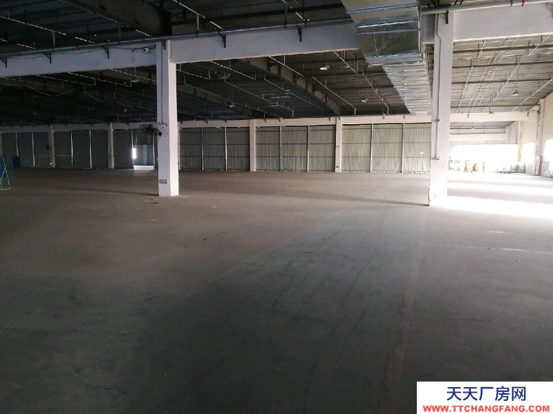 (出租) 合肥蜀山丙二廠房，可長租，適合家電，輕加工，庫房，有五噸貨梯兩部