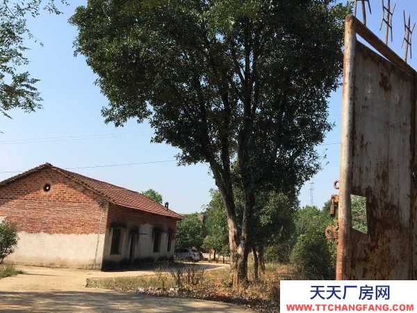 (出租) 南昌進賢縣出租進賢縣民和鎮鄉村農場