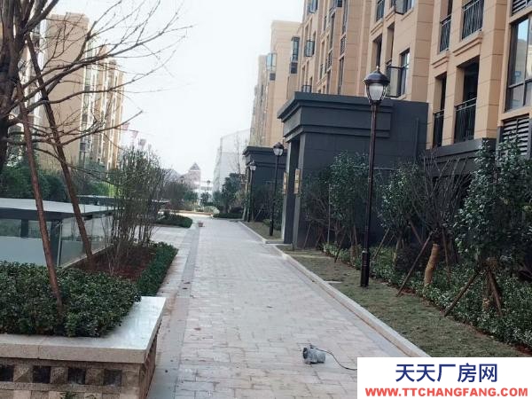 (出租) 南昌進賢縣出租進賢縣凱旋廣場------毛坯房供倉庫出租！