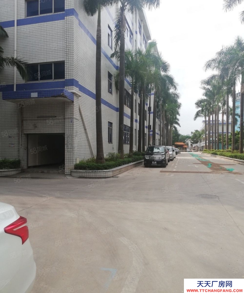 (出租) 深圳羅湖布吉木棉灣科技園1000平可分26一平，電商倉儲加工辦公