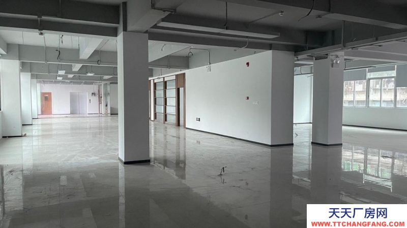 (出租) 深圳羅湖新秀工業(yè)區(qū)9棟二樓出租戶型方正采光好