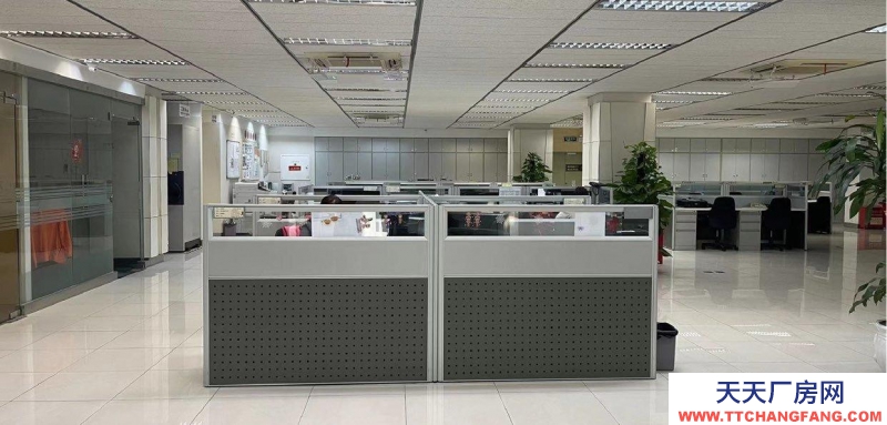 (出租) 深圳羅湖新秀工業(yè)區(qū)9棟二樓出租戶型方正采光好