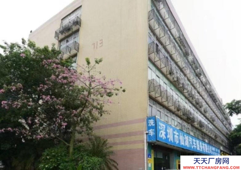 (出售) 深圳市羅湖區(qū)蓮塘鵬基工業(yè)區(qū)廠房一棟2.3Y出售