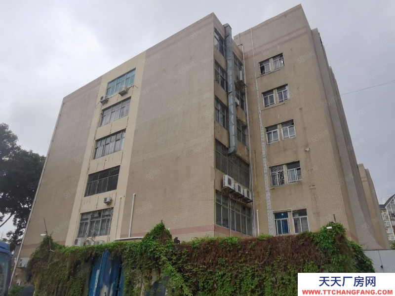 (出售) 深圳福田鵬基工業(yè)區(qū)廠房出售,13358平方低于市場價(jià)1個(gè)億