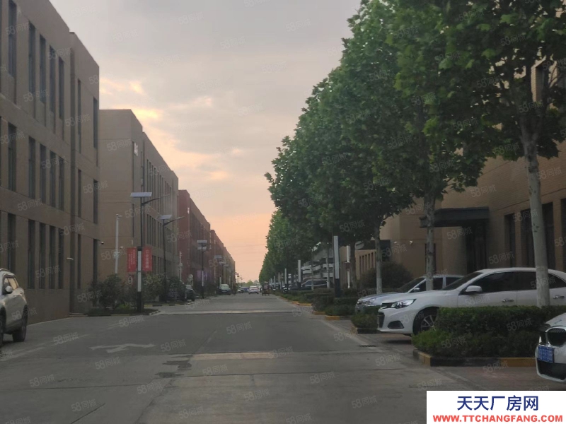 青島城陽9米層高，3000平2層獨棟，出售