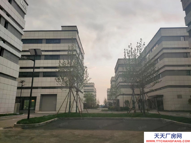 青島城陽9米層高,3000平2層獨棟,出售