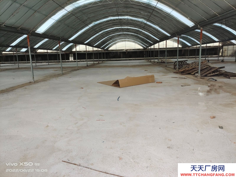 青島城陽區夏莊臨街倉庫出租 帶院 可分割 聯動大棚式倉儲