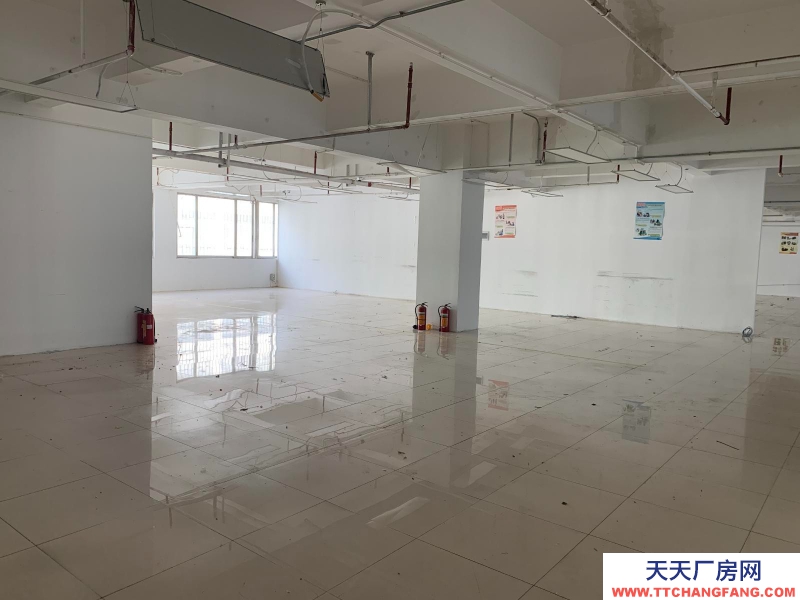 (出租) 深圳福田業(yè)主直租車公廟天發(fā)大廈2B 1134.65平米 價格面議