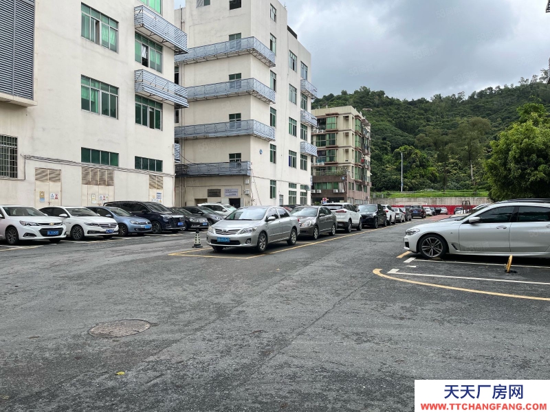 (出租)深圳南山 西麗百旺信產(chǎn)業(yè)園廠(chǎng)房12樓出租2500平米