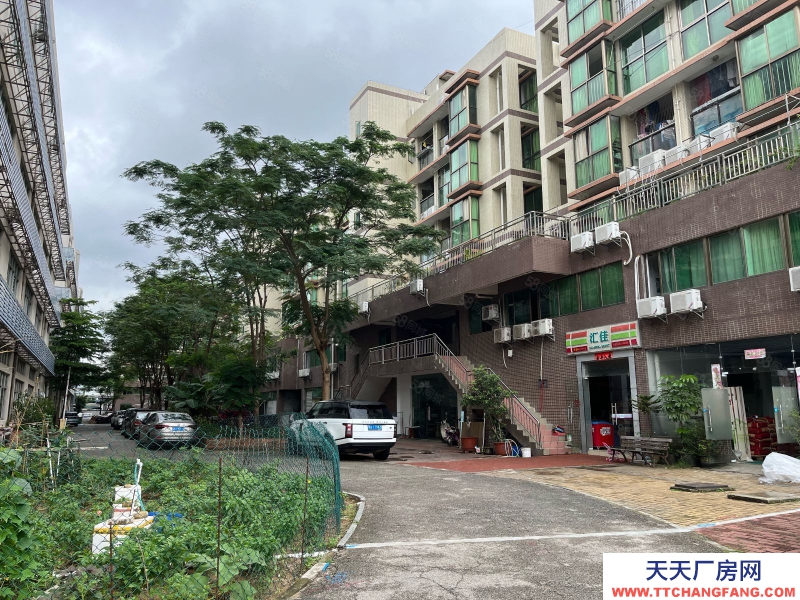 (出租)深圳南山 西麗百旺信產(chǎn)業(yè)園廠(chǎng)房12樓出租2500平米