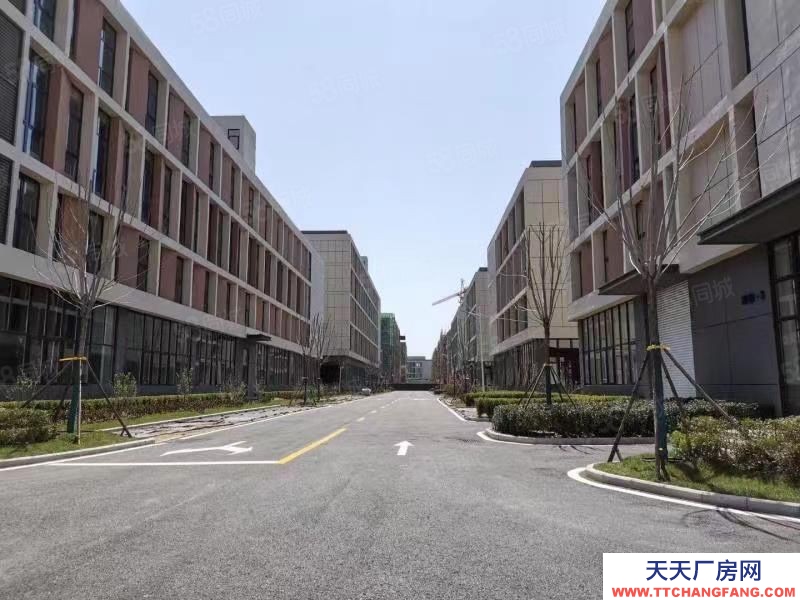 青島膠州大產(chǎn)權(quán)定制廠房首層8.1米