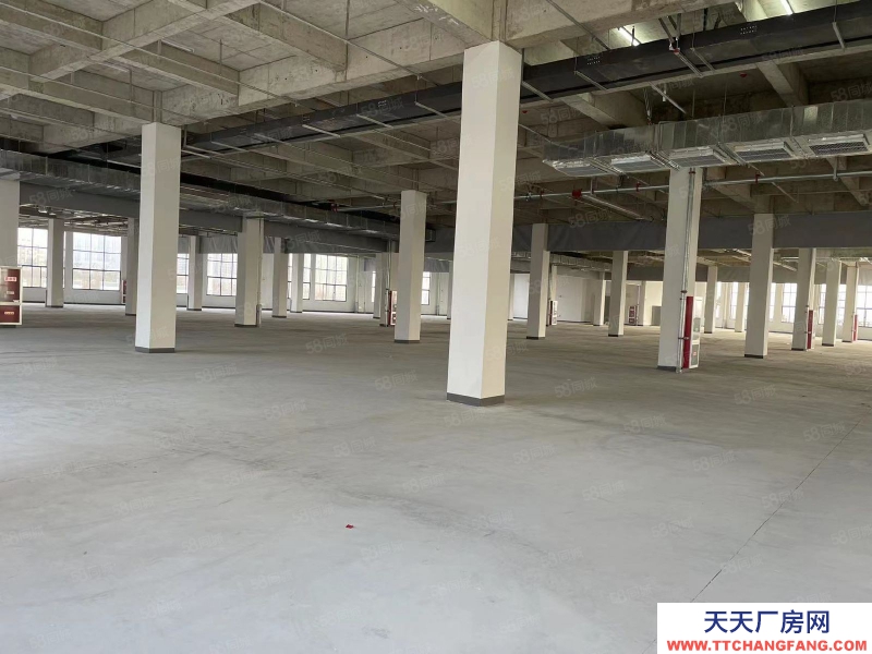 (出租) 安徽肥東縣撮鎮(zhèn)鎮(zhèn)大彭路2W平方廠房招租