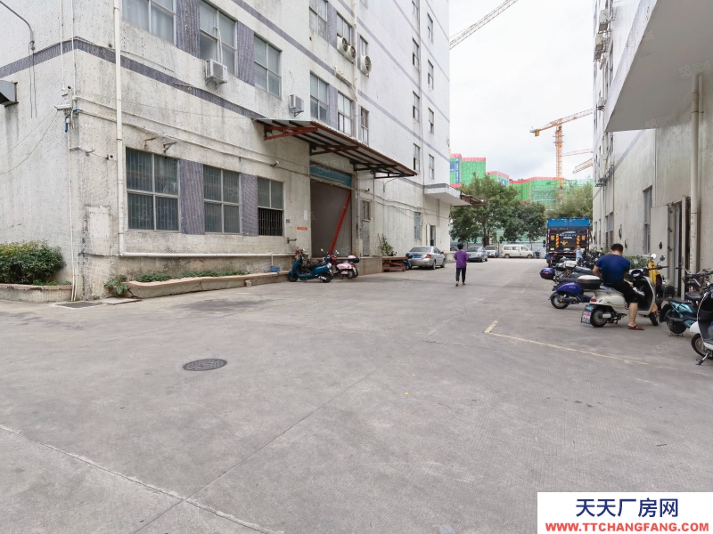 (出租) 深圳南山凍庫(kù)冷庫(kù)倉(cāng)庫(kù)配送 西麗原房東一樓廠房950平復(fù)式