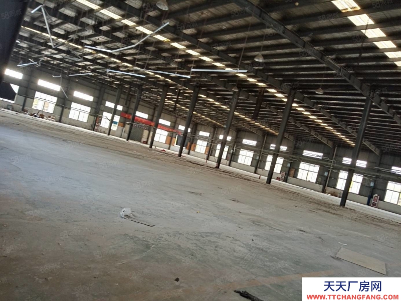 (出租) 合肥蜀山3500平鋼結構廠房，需要生產型企業