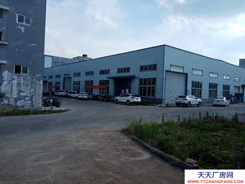 (出租) 合肥蜀山3500平鋼結構廠房，需要生產型企業