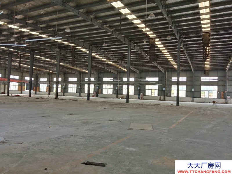 (出租) 合肥蜀山3500平鋼結構廠房，需要生產型企業