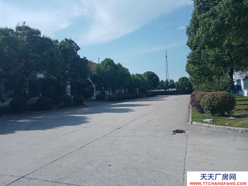 (出租) 合肥蜀山3500平鋼結構廠房，需要生產型企業