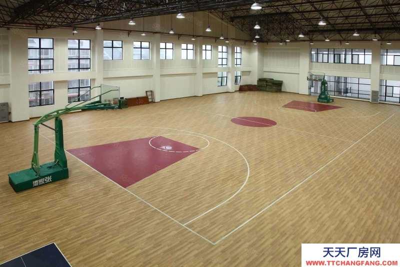 (出租) 合肥蜀山體育館招租 籃球 桌球 乒乓球 跆拳道 輪滑 蹦床 公司直租