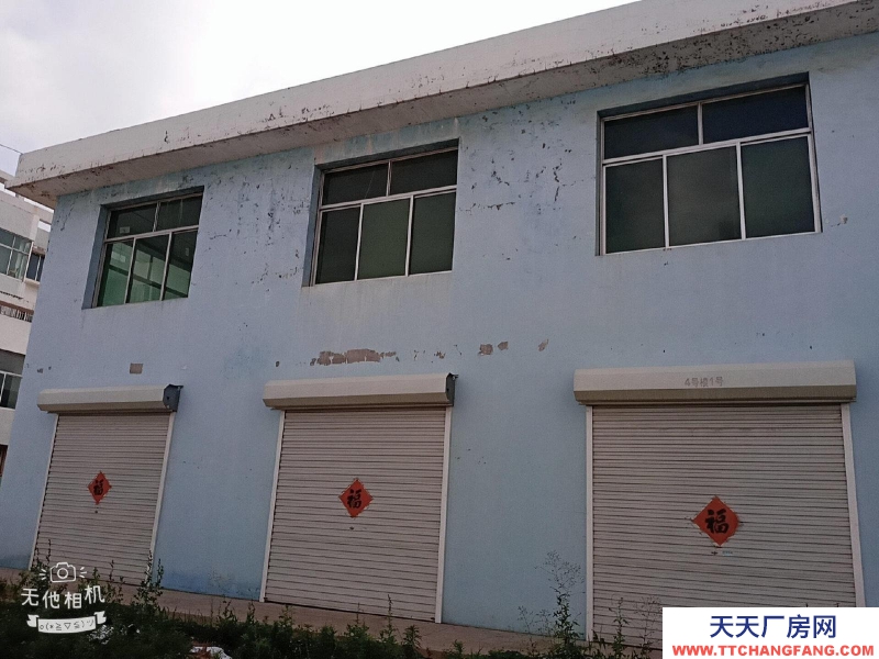 青島膠州上下兩從，加工點或倉庫很合適