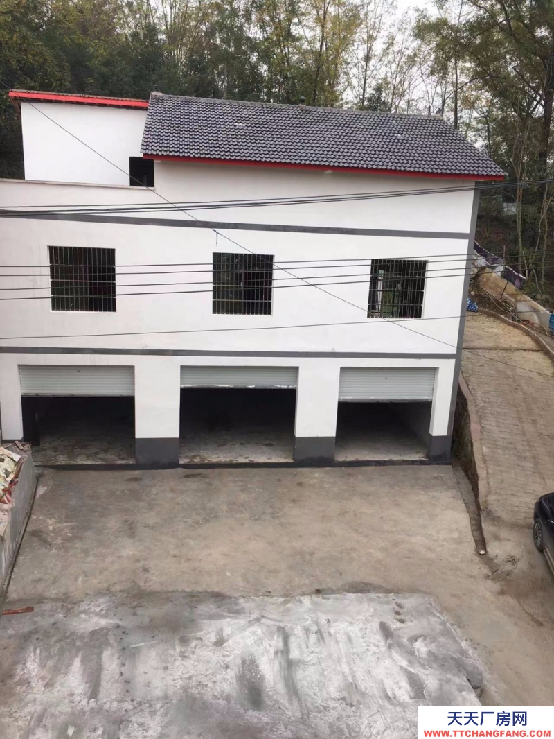 渝北區空港獨院 抬空結構小廠房出租