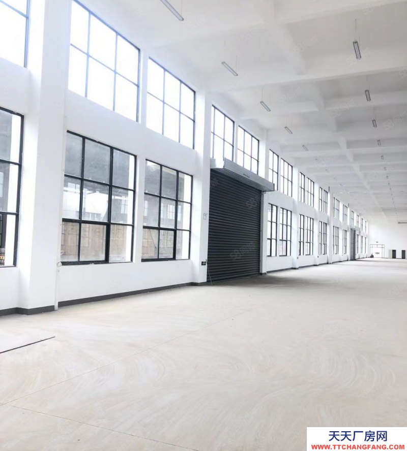 (出租) 合肥蜀山經開主干道上獨棟1001平標準廠房 ，場地寬敞