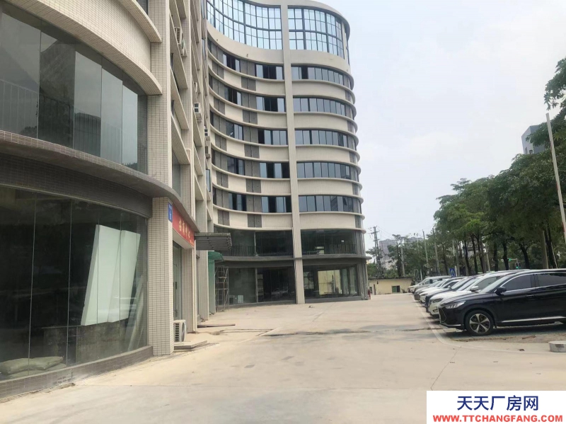 南寧市西鄉塘區(出租) 科興路6號 全新毛坯房，可做廠房、寫字樓、辦公樓