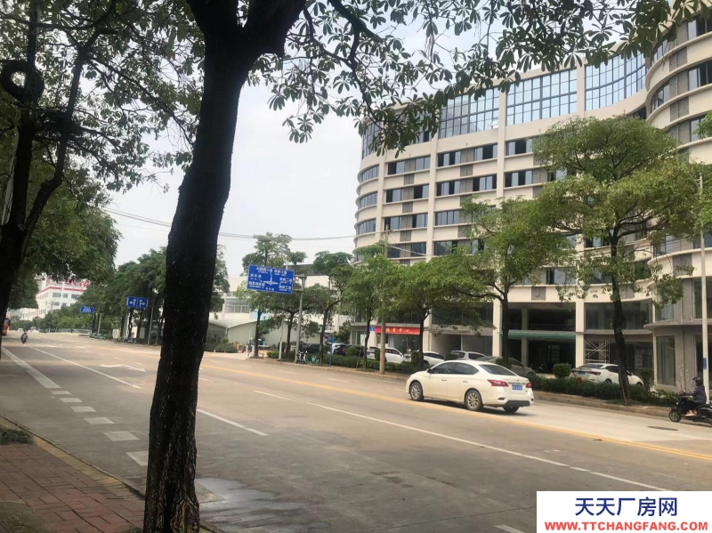 南寧市西鄉塘區(出租) 科興路6號 全新毛坯房，可做廠房、寫字樓、辦公樓