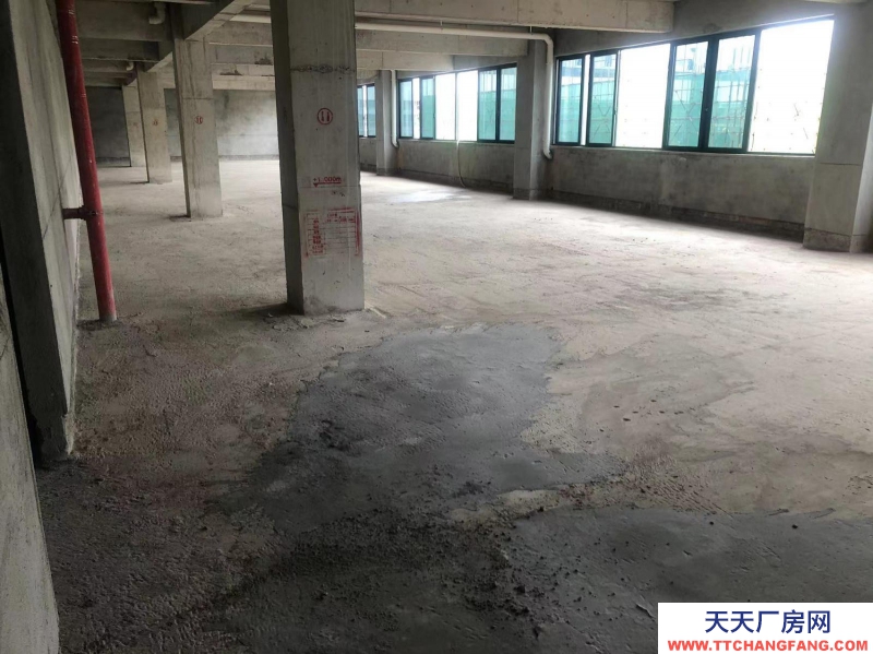 南寧市西鄉塘區(出租) 科興路6號 全新毛坯房，可做廠房、寫字樓、辦公樓