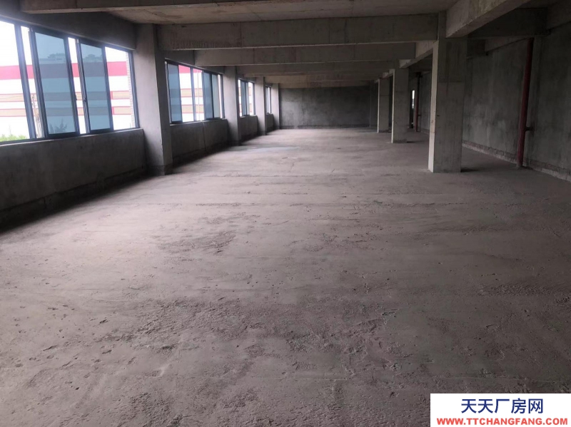 南寧市西鄉塘區(出租) 科興路6號 全新毛坯房，可做廠房、寫字樓、辦公樓