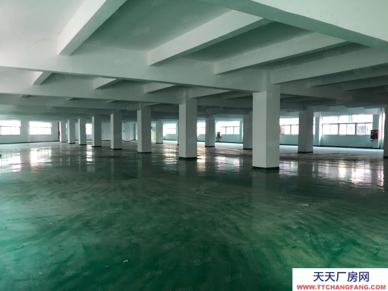 (出租) 深圳寶安石巖高速出口獨棟廠房7800平，工業園帶噴淋招租可分租