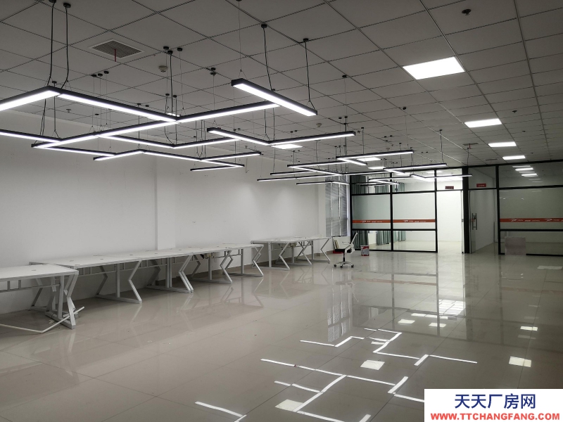 湖州織里大型直播基地出租 裝修好 直接入住 童裝產業帶上位置好