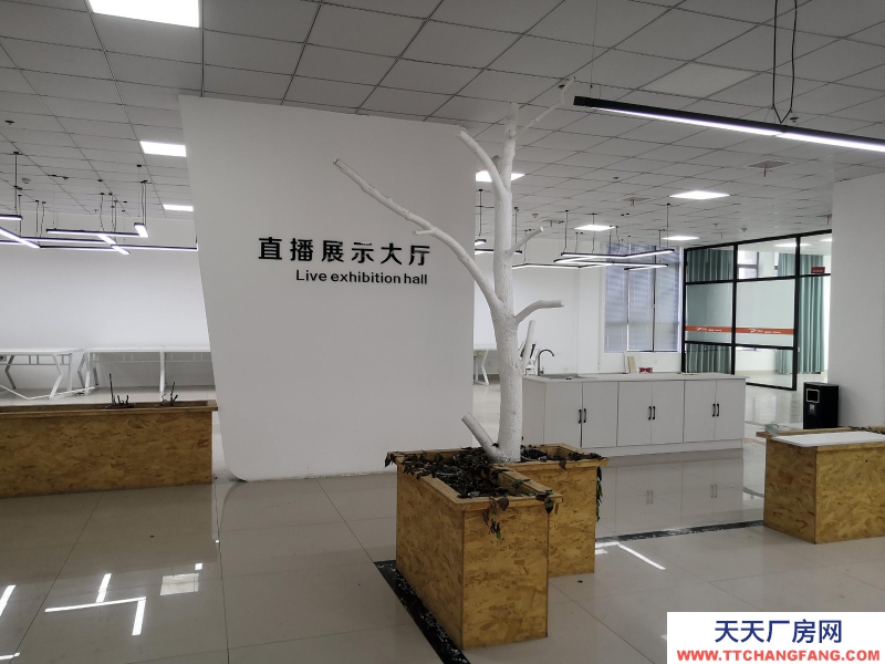 湖州織里大型直播基地出租 裝修好 直接入住 童裝產業帶上位置好