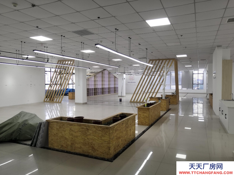 湖州織里大型直播基地出租 裝修好 直接入住 童裝產業帶上位置好