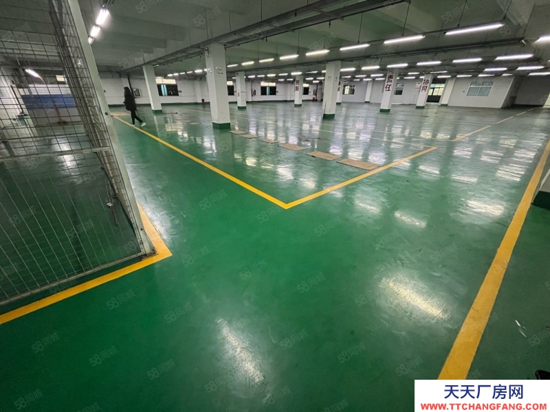(出租) 深圳寶安福永會展中心原房東獨棟5000至10000平廠房倉庫出租可分