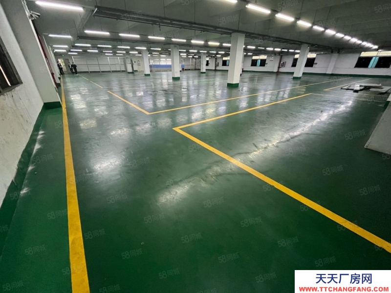 (出租) 深圳寶安福永會展中心原房東獨棟5000至10000平廠房倉庫出租可分