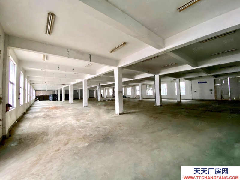 杭州建德(出租) 高速口 標準廠房 帶精裝辦公 整棟出租