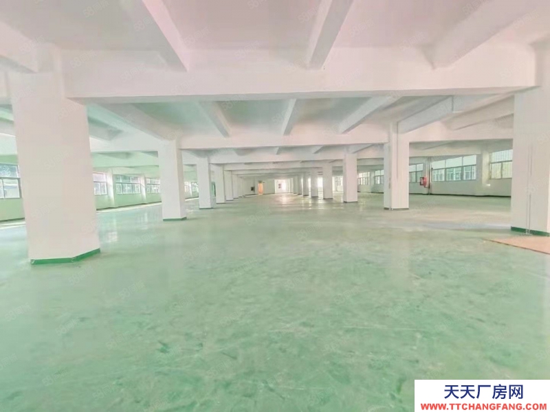 (出租) 深圳寶安石巖水田外環(huán)路獨棟10000平方廠房倉庫招租分租