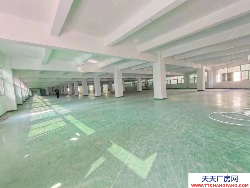 (出租) 深圳寶安石巖水田外環路獨棟10000平方廠房倉庫招租分租