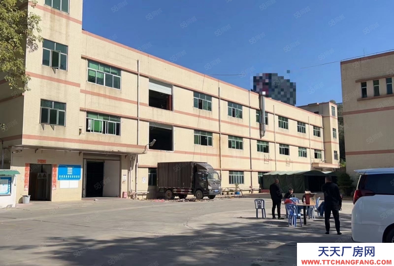 (出租) 深圳寶安石巖水田外環路獨棟10000平方廠房倉庫招租分租