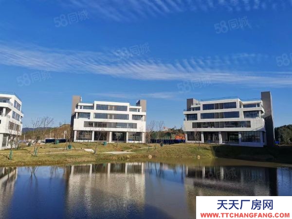 長沙市開福區(qū) 上市國企開發(fā)400平起廠房出售