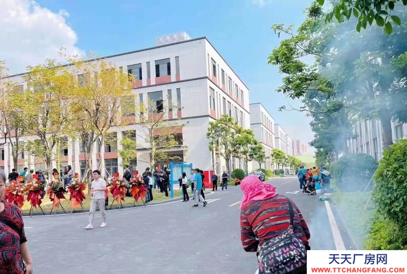 (出售) 合肥廬陽筑巢引鳳！政府重點項目！打造產業集群！核心地段！配套齊全！