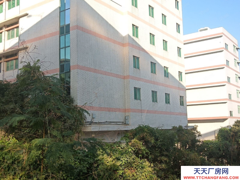 (出售) 深圳寶安大工業(yè)區(qū)紅本廠房出售