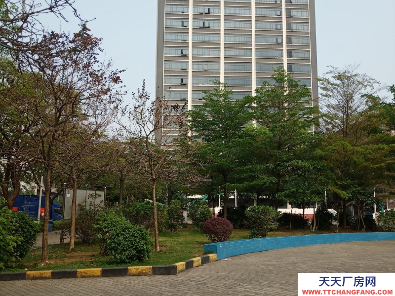 (出售) 深圳寶安大工業(yè)區(qū)紅本廠房出售