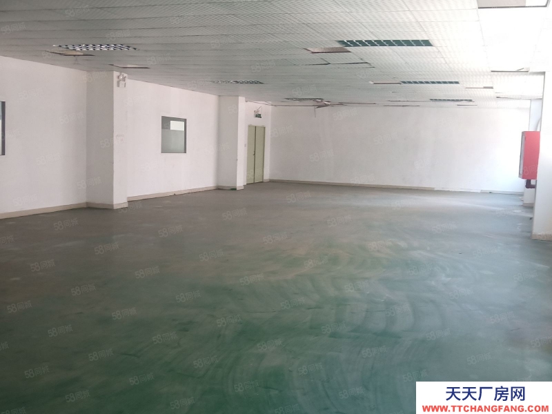 (出售) 深圳寶安大工業(yè)區(qū)紅本廠房出售