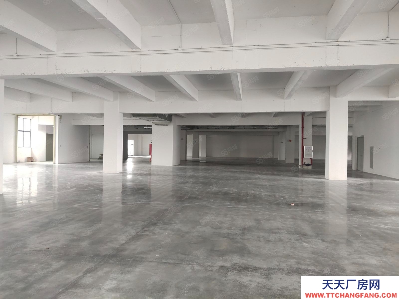 (出售) 深圳寶安水口高速國道附近鋼混全新環(huán)評廠房租售寶安