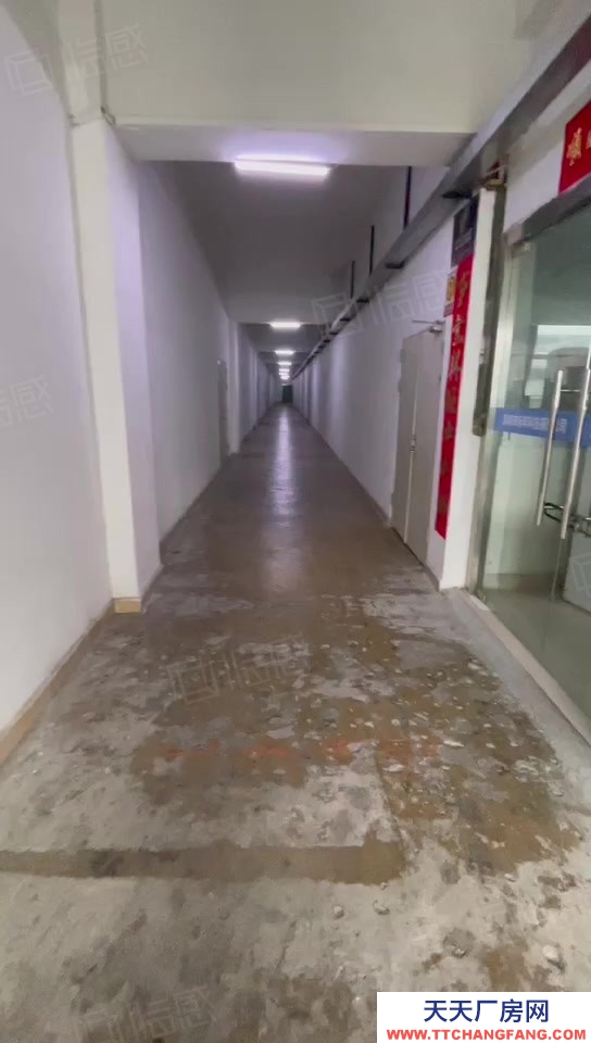 (出售) 深圳寶安石巖外環路邊 紅本獨院廠房21735.36平 未來可更新